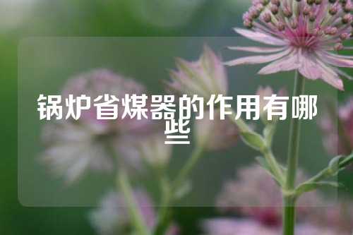 鍋爐省煤器的作用有哪些